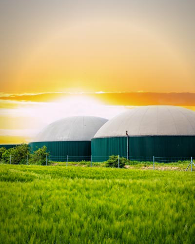 Ark Bio Energy